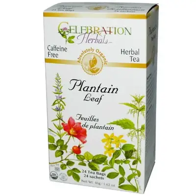 CELEBRATION HERBALS TEAS - PLANTAIN