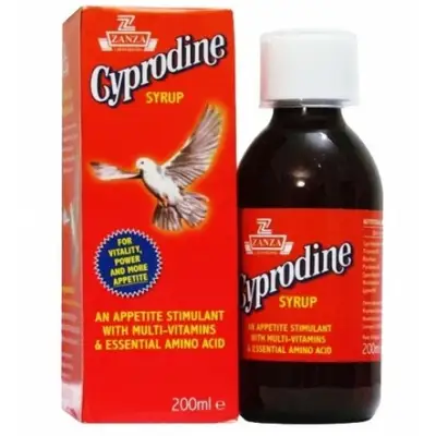CYPRODINE SYRUP 200ML