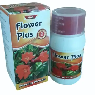 Flowel Plus 30 Capsules (Flower Plus)