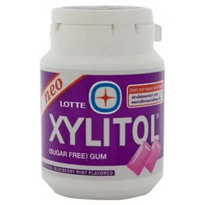 Lotte Xylitol Blueberry Mint 58g