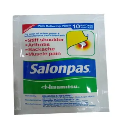 Salonpas Pain Relief Patch (10 Patches)