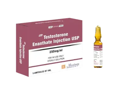 Testosterone Enanthate 250mg Injection Ampoule
