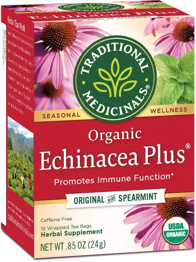 TRADITIONAL MEDICINALS  ECHINACEA PLUS ELDERBERRY 24G