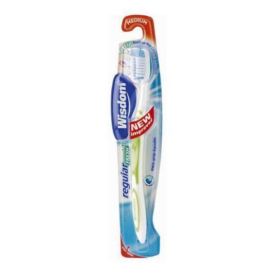 Wisdom Regular Toothbrush Medium Healthcare